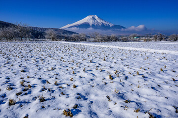 富士山と雪景色