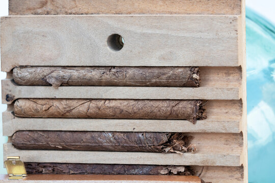 Сigars in a box - Canarian souvenir