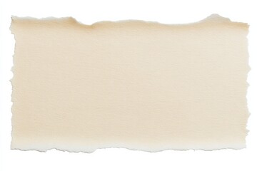 Obraz premium Torn edges of blank vintage parchment paper