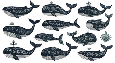 Collection of Whale Illustrations with Decorations. © wdflm