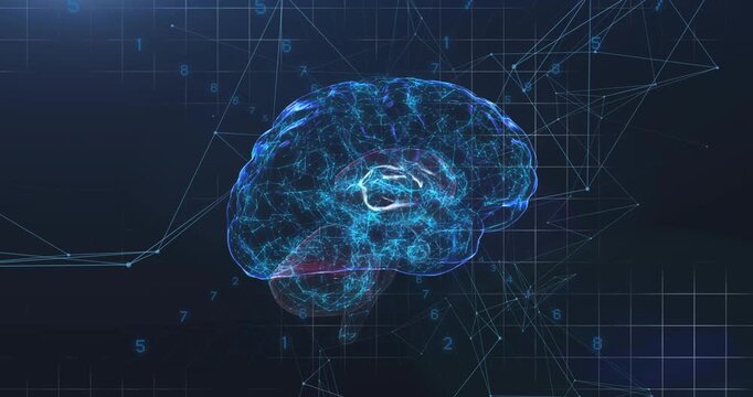 Upon appearing holographic brain rotating and pulsing, grid nodes extending, visualizing signals