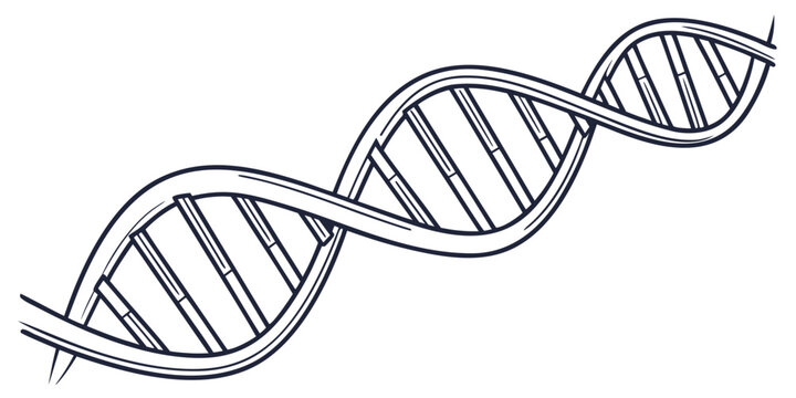 The iconic double helix structure representing deoxyribonucleic acid (dna) molecule