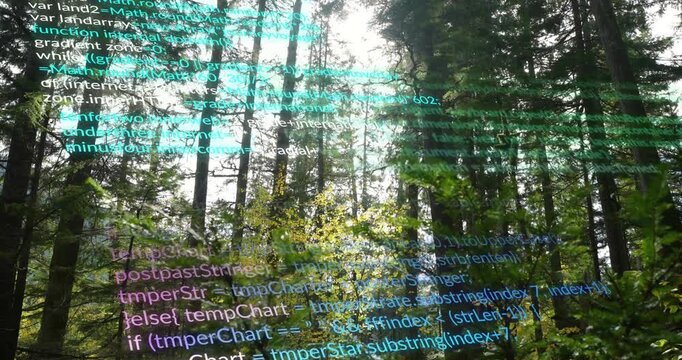 Top turquoise code appearing, scrolling downward across evergreen canopy, visualizing data merging