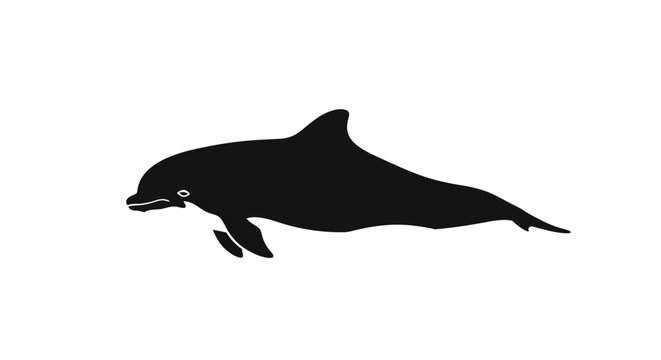 Dolphin Silhouette Swimming in Water.