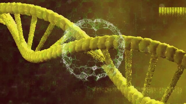 Yellow double helix rotating and sliding while particle ring appearing wrapping, showing activation