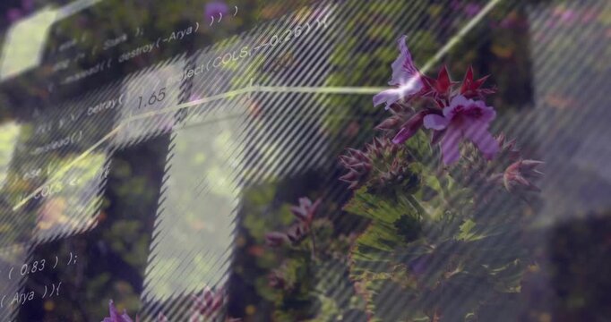 Faint overlay appearing, line chart moving right, flowers focusing right, layers showing plant data