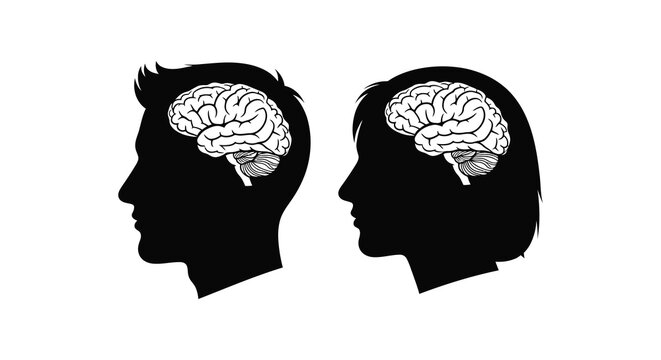 Brains inside head profiles representing thought and gender differences silhouette