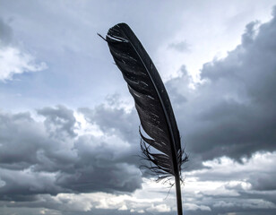 Fototapeta premium Capture the essence of hope with this moody black feather against a dramatic cloudy sky. A symbol of resilience and fragility, its ideal for emotional, conceptual, and artistic projects.
