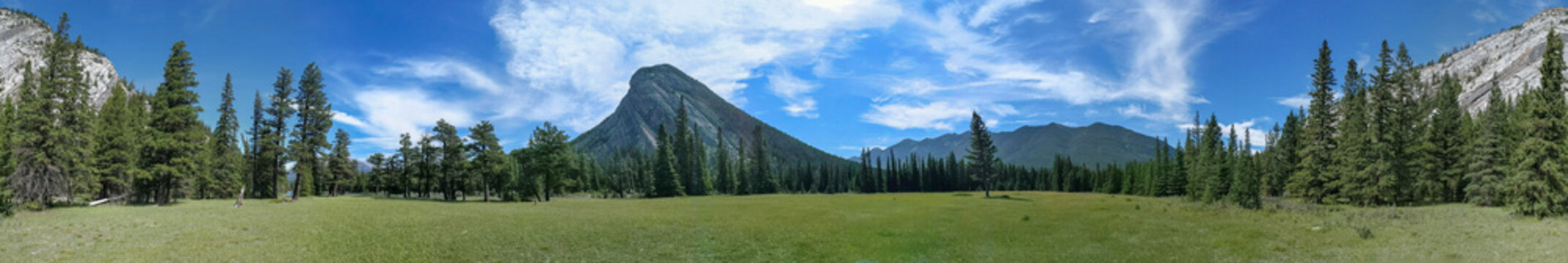 Panoramic view of a sunny meadow in the foreground with tall pine trees and the side view of Mount Rundle during the summer in Banff National Park.