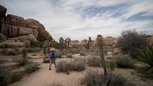A mature woman enjoys the desert landscape in Joshua Tree National Park, hiking over rocks and observing cholla cacti and other plants.