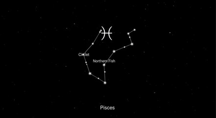 Pisces constellation and zodiac symbol in the night sky. © angga