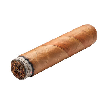 A richly wrapped cigar with a natural brown hue resting on a plain background