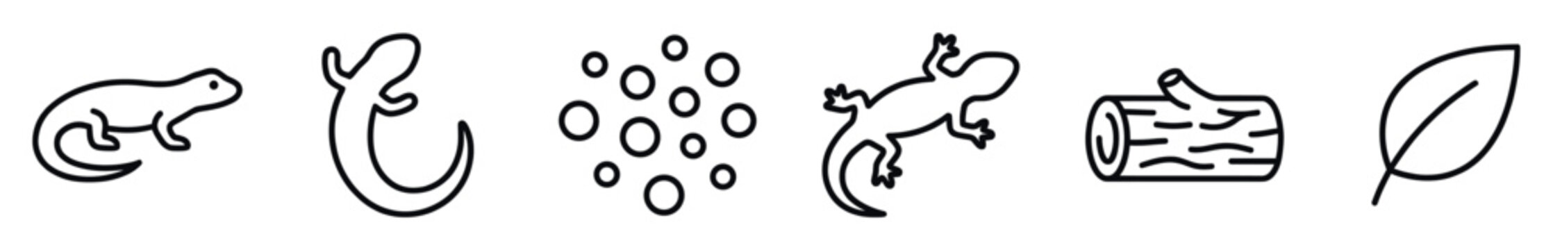 Black and white minimalist icon set featuring amphibians and reptiles like a salamander and lizard, plus nature elements like eggs, a log, and a leaf in a simple line art style