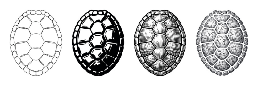 Collection of four turtle shell illustrations rendered in distinct black and white artistic styles, featuring line drawing, solid ink, detailed hatching, and stippling dotwork