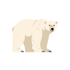 Fototapeta premium White Polar Bear Standing Alone.