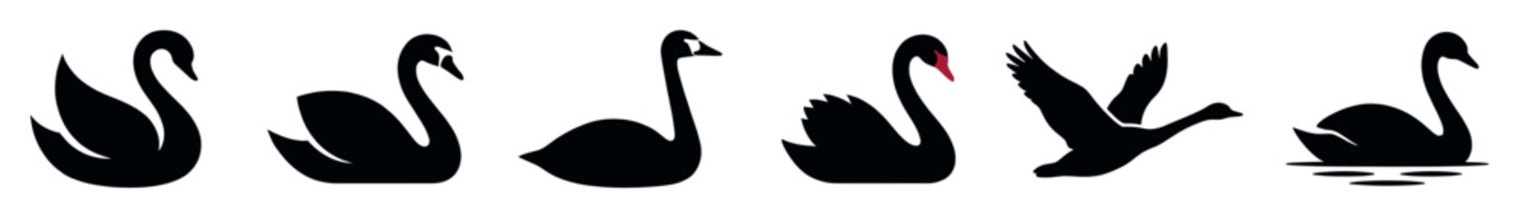 Obraz premium Black swan icon collection featuring six elegant bird silhouettes in different graceful poses, including flying with spread wings and swimming, presented in a minimalist graphic style