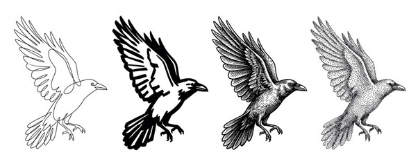 Obraz premium Set of four black raven illustrations in flight, showcasing different artistic techniques including continuous line drawing, bold stencil, detailed engraving, and stippling
