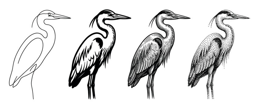 Set of four heron illustrations showing different artistic styles from simple line art to detailed engraving, graphic silhouette, and stippling dotwork for a creative concept
