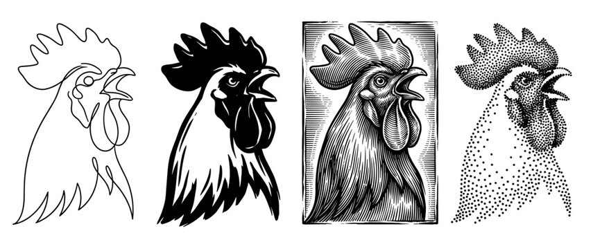 Four black and white rooster head illustrations in different artistic styles, including line art, silhouette, vintage woodcut engraving, and stipple dotwork for graphic design