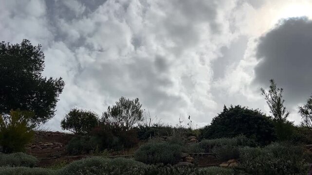 Overcast Sky Above Native Shrubs and Hillside