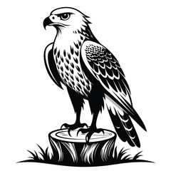 Fototapeta premium monochromatic hawk eagle silhouette line art vector illustration with a white background