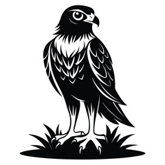 Fototapeta premium monochromatic harrier silhouette on stump silhouette line art vector illustration with a white background
