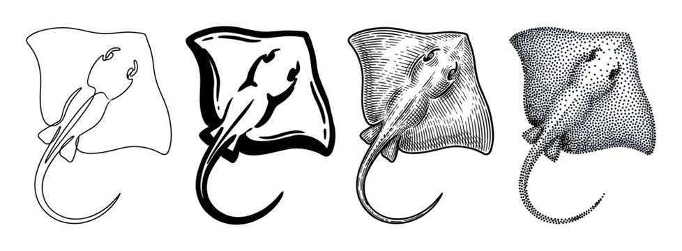 Set of four black and white stingray illustrations in different artistic styles including line art, silhouette, detailed engraving, and dotwork stippling