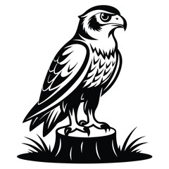Fototapeta premium monochromatic falcon eagle silhouette line art vector illustration with a white background
