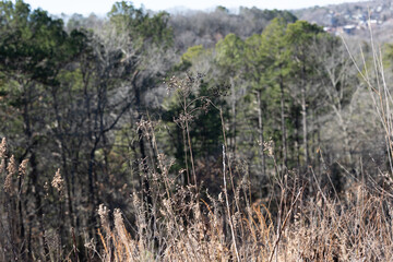 Fototapeta premium photos taken on a eureka springs ak trip