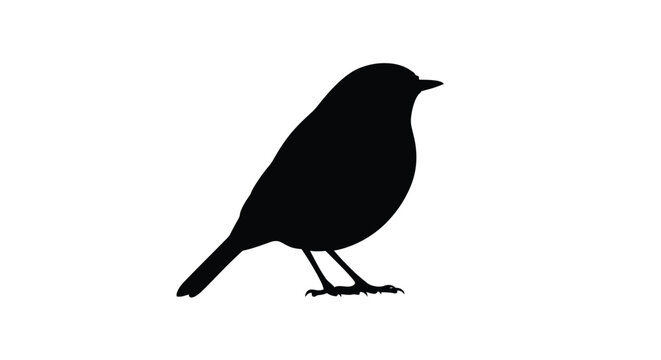 A black bird perched on a branch a striking silhouette