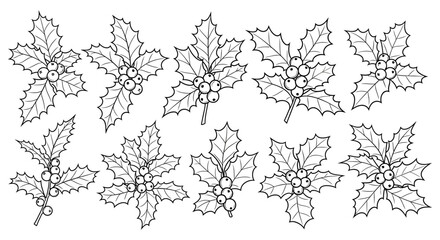 Black and white illustration of holly sprigs with berries arranged in a row © arfanah02