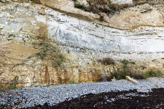 Geologische Schichtung mit Feuersteinband an den Kreideklippen von Stevns Klint