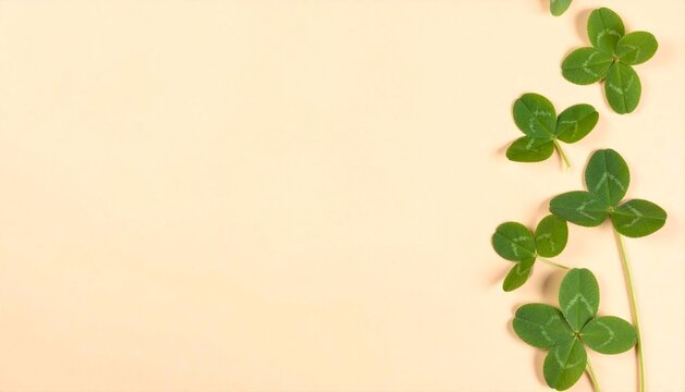 studio shot of fresh green clover leaves on a soft cream background. Minimalist flat lay for nature, luck, and St. Patrick's Day concepts.