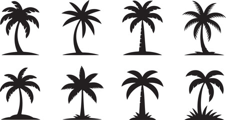 Fototapeta premium Set of diverse black palm tree silhouettes isolated on a clear white background