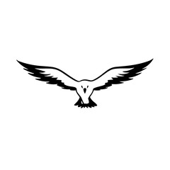 Obraz premium Albatross. Albatross simple black and white line art vector logo