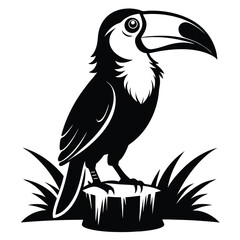Fototapeta premium monochromatic toucan silhouette line art vector illustration with a white background