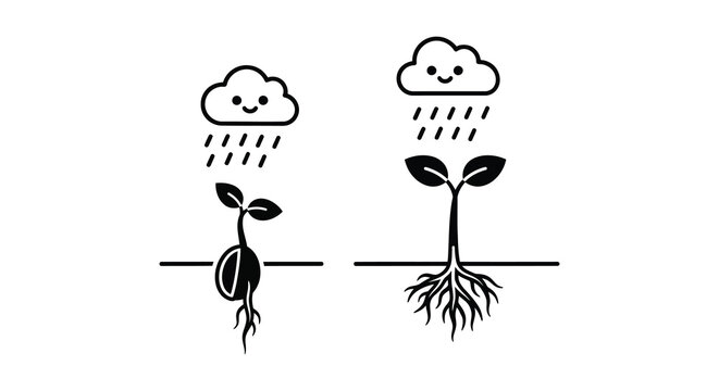 Plant growth stages from seed to sprout depicted in black silhouette