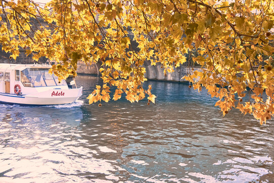 Boat on canal under golden autumn leaves with rippling water and riverside wall