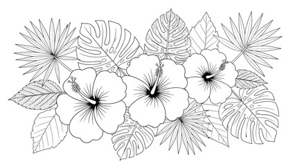 Fototapeta premium Elegant tropical floral outline illustration depicts three large hibiscus flowers surrounded by a variety of palm and monstera leaf foliage.