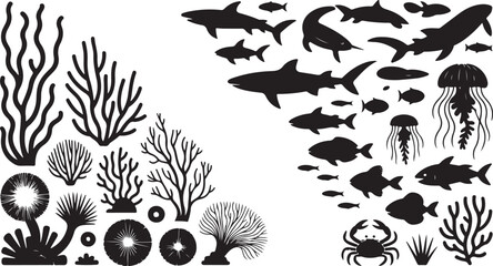 Obraz premium Black and white of various sea creatures and underwater plants