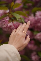 Female hand with pearl ring touching cherry blossoms