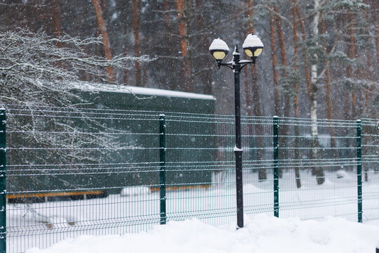 Snowfall in park with green fence and street lamp, winter forest background. Cold weather, seasonal landscape, no people.
