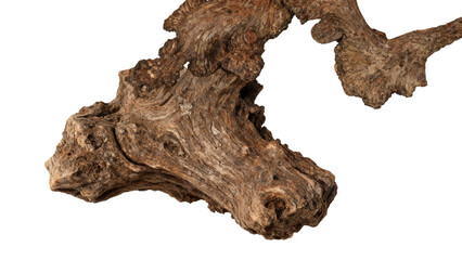 Obraz premium Gnarled driftwood root isolated on transparent background