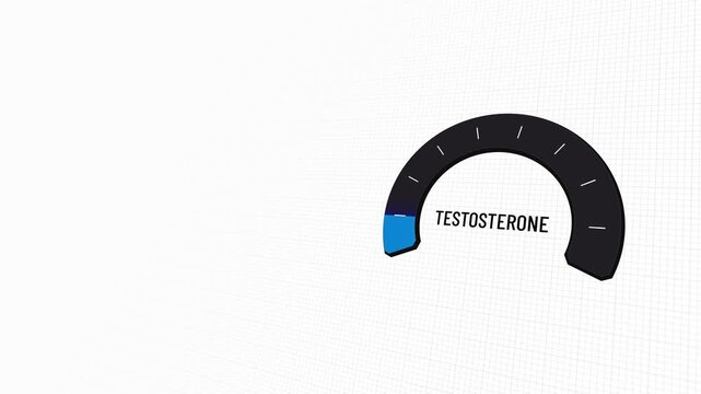 Testosterone meter gauge rising then falling on white backdrop, androgen scale. High levels boost muscle, low levels cause fatigue, male endocrine health, steroid hormone data, copy space