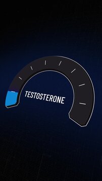 Vertical motion graphic showing testosterone level meter rising and falling, tracking male androgen hormone fluctuations affecting muscle mass, energy, libido, and mood changes, Copy space