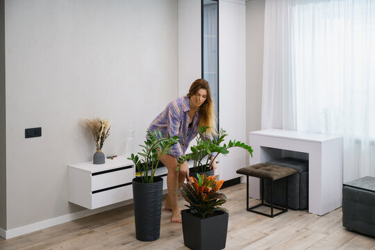Young woman moves big green houseplant in modern apartment interior. домашній догляд за рослинами, щоденна турбота та оновлення простору при природному світлі.