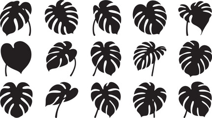 Collection of Monstera Deliciosa Leaf Silhouettes on White Background Monstera leaf © Sabbir Art Express