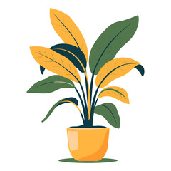 Tropical banana plant with green and yellow leaves isolated on transparent background