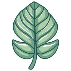 Green monstera leaf illustration isolated on transparent background