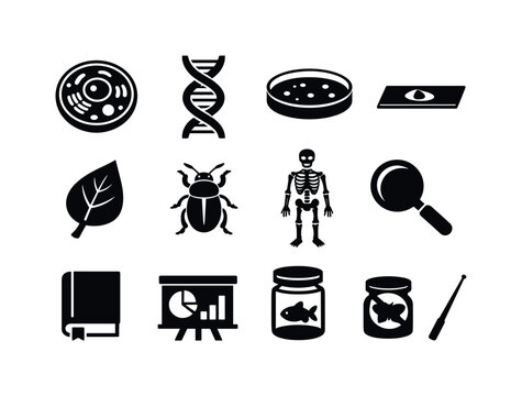 Solid vector icons of biology lesson: cell diagram, DNA helix, petri dish, microscope slide, plant leaf, insect specimen,
